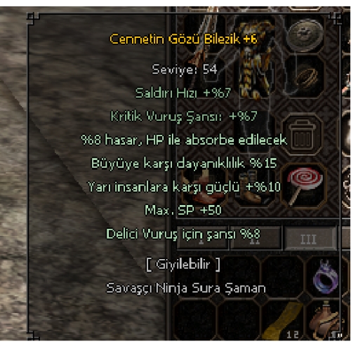  Cennetin Gözü Bilezik Elit